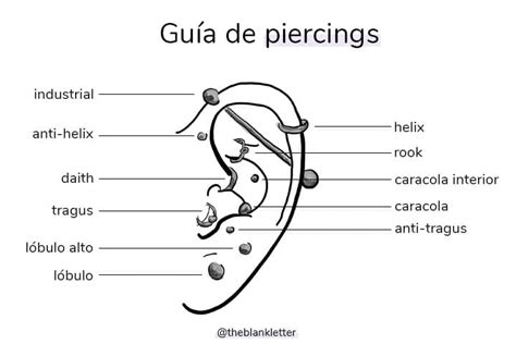 arito en la concha|Piercing de la oreja: la guía completa [nombre,。